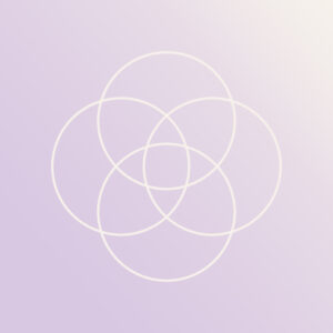 gyvenimo balanso ratas